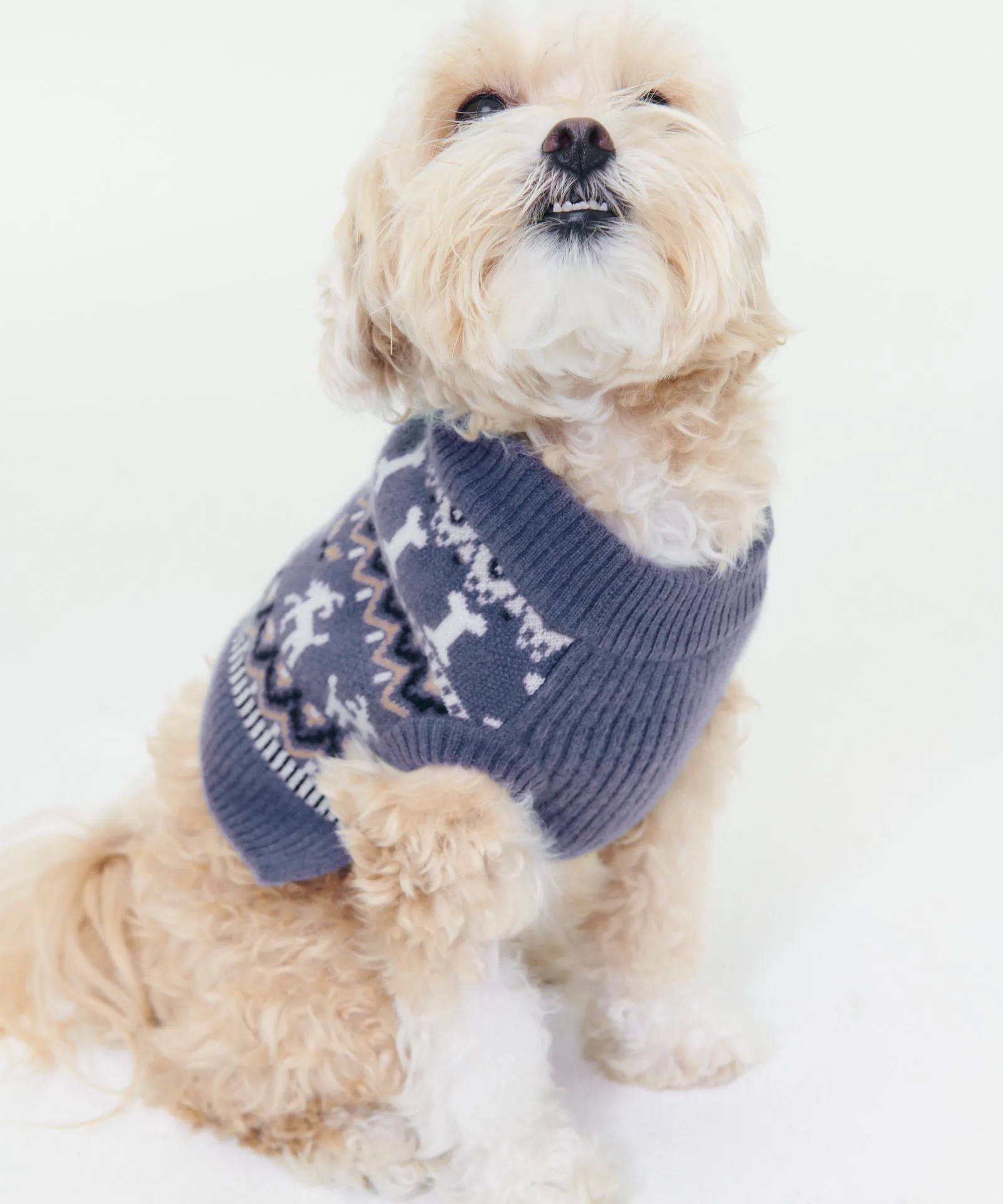 Cashmere Bone Fair Isle Dog Sweater